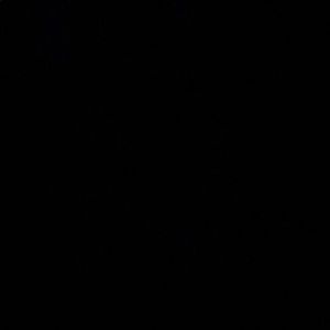 Meet your Posher, Will